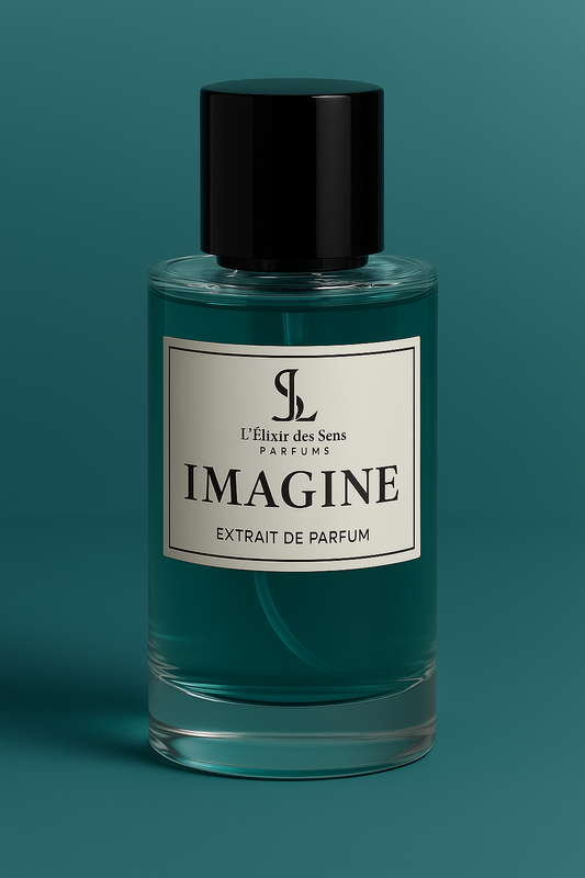 IMAGINE